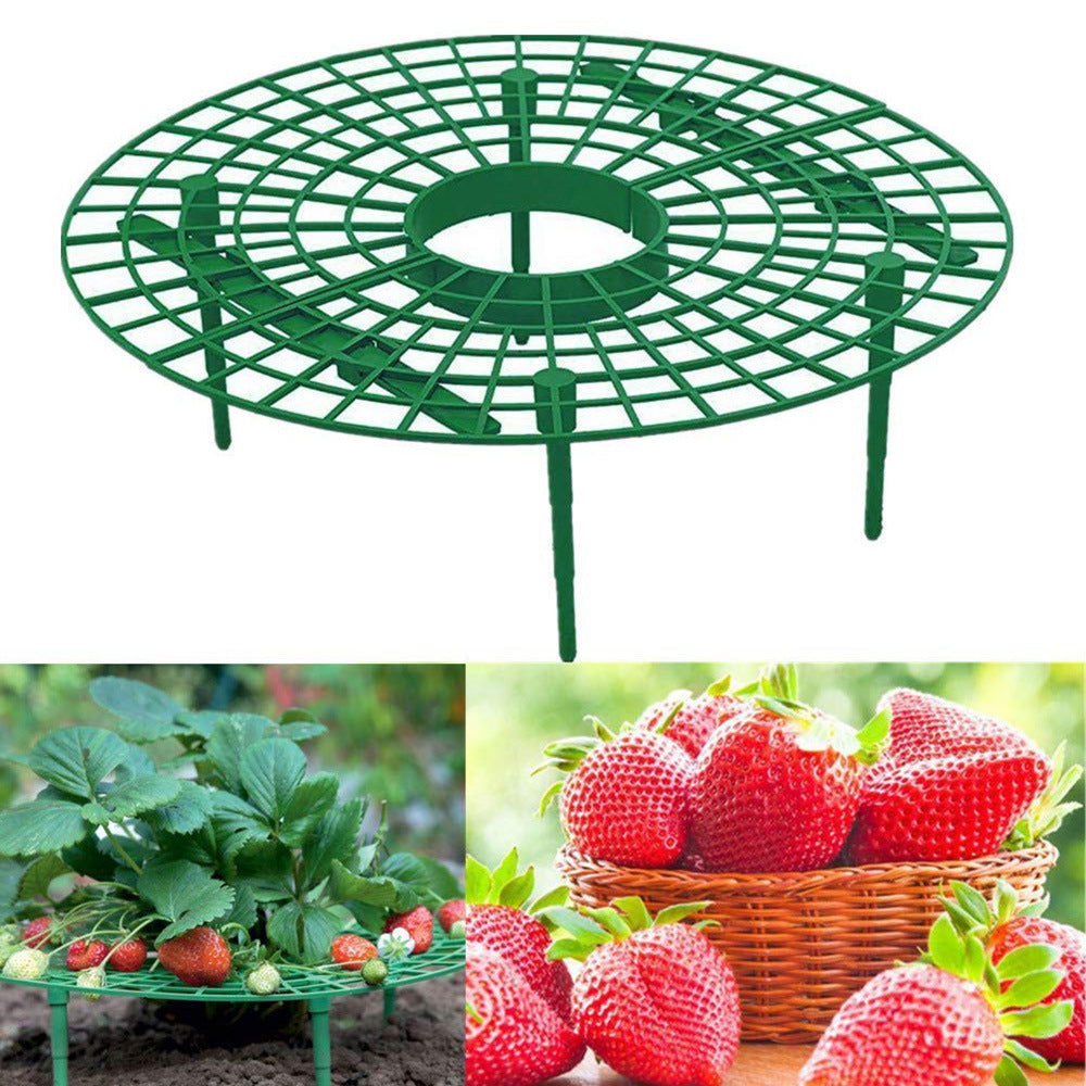 Strawberry Support Set Keeping Fruit Elevated to Avoid Ground Rot