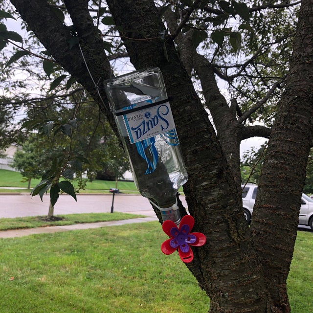 Turn your own Recycled bottles into the best Hummingbird Feeder Set(one hook, one suction cap, one feeder with bottle adapter)
