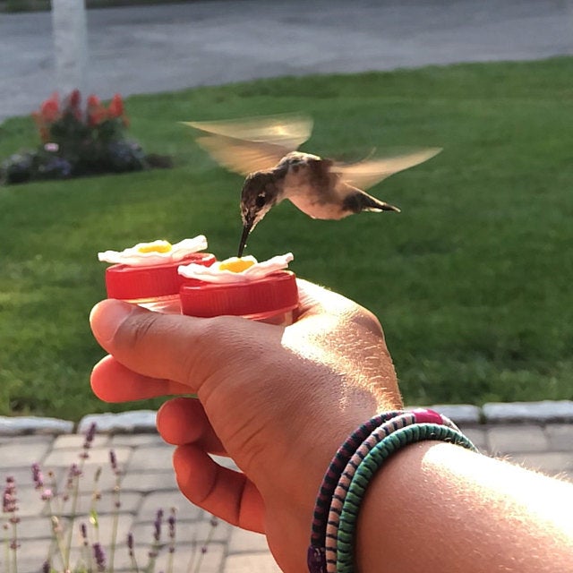Handheld Hummingbird Feeders Original Design with Perch—Pack of 2